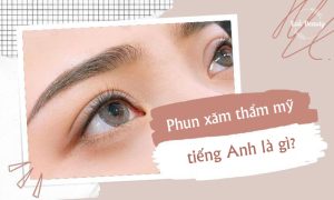 phun xăm thẩm mỹ tiếng anh là gì? Thuật ngữ nghề phun xăm phổ biến nhất